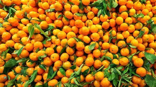 Kimlər naringi yeyə bilməz?