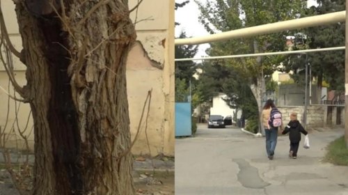 6-cı mikrorayon sakinlərini bezdirən problem - VİDEO