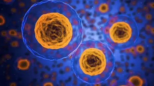 Alimləri heyrətləndirən təcrübə: Qocalmağı dayandırmaq mümkün ola bilər