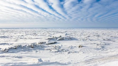 NASA-nın Antarktidada kəşf etdiyi siqnalın sirri hələ də açılmayıb