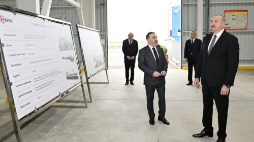 Prezident "AZWOOL" mineral daş yunu zavodunun açılışında iştirak etdi - FOTO