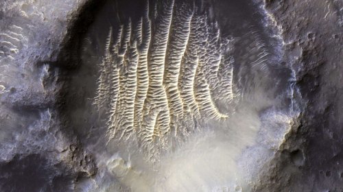 Alimlərin Yerdəki kəşfi Marsda həyatın mövcud ola biləcəyi iddiasını gücləndirir