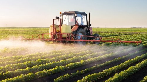 Aqrar sığortanın inkişafı üçün hansı işlər görülməlidir?