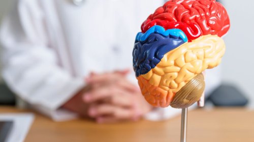 Bu maddənin çatışmazlığı beynin sürətli qocalmasını sürətləndirir