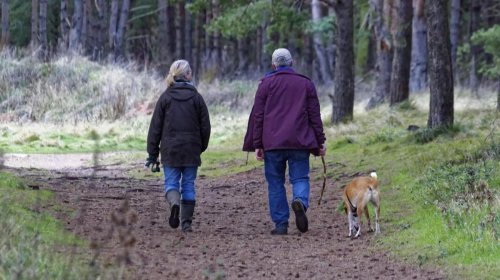 İnsanın yerişi onun sağlamlığından xəbər verə bilər
