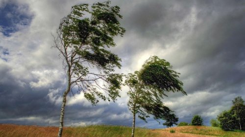 Sabahın hava proqnozu