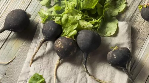 Hər kəsin bilmədiyi qara turpun faydaları