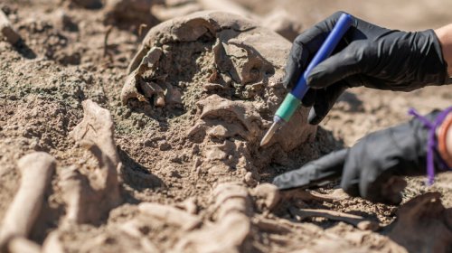 ABŞ-da güclü vulkan püskürməsindən sağ çıxan qədim itlərin izləri tapıldı