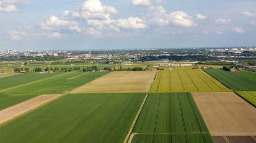 Bələdiyyənin balansında olan torpaq neçəyə satılacaq?