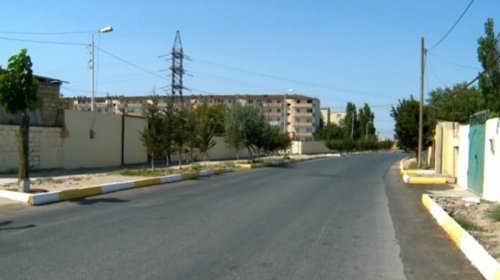 Tağıyev qəsəbəsi üçün 266 min manatlıq yaşıllıq