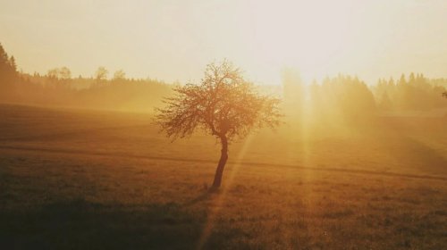 Alimlər: Bəşəriyyət tarixdə ən isti illər koridoruna daxil olub