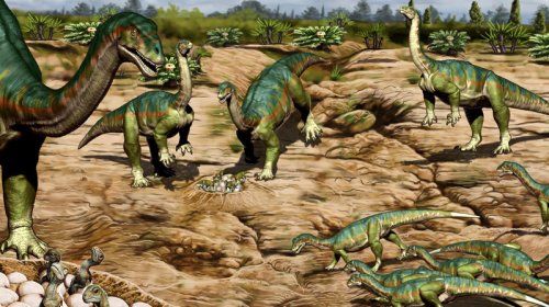 Alimlər: Bəzi dinozavrlar quşlar kimi rəngarəng ola bilərdi