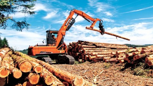 &ldquo;Ələt Ağac Emalı&rdquo; ASC-nin külli miqdarda borcu var