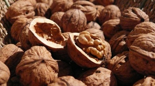 Qoz yemək üçün 6 səbəbi - Ekspertlər izah edir