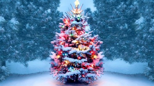 Yeni il yolkasına hansı oyuncaqlar taxılmamalıdır?