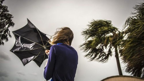 
Küləkli hava şəraiti ilə bağlı sarı xəbərdarlıq verilib