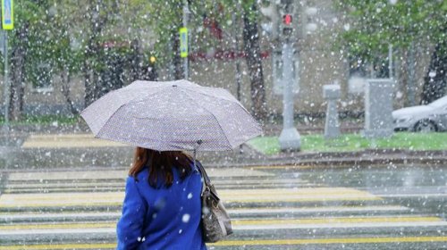 Sabahın hava proqnozu