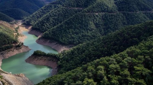 Türkiyə dünyada ən çox yaşıllaşdırma aparan ilk 3 ölkə sırasında yer alır