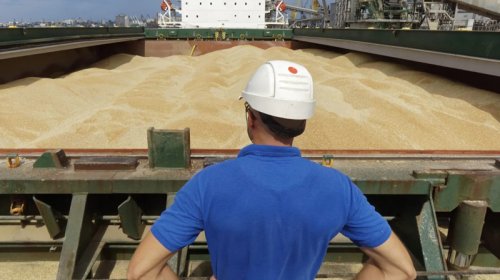 Rusiya dekabrda Ukraynadan taxıl ixracını əhəmiyyətli dərəcədə azaltmağı bacarıb