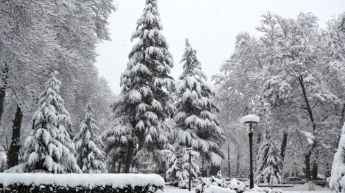 Xınalıq, Qrız, Qusar, Şahdağda qar yağır - FAKTİKİ HAVA