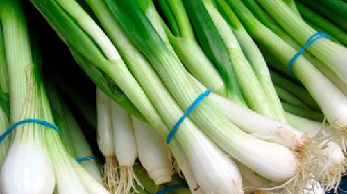 Göy soğanın sağlamlığımıza TƏSİRLƏRİ