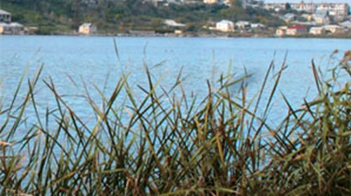 Bakıda gölləri kimlər yox edib?