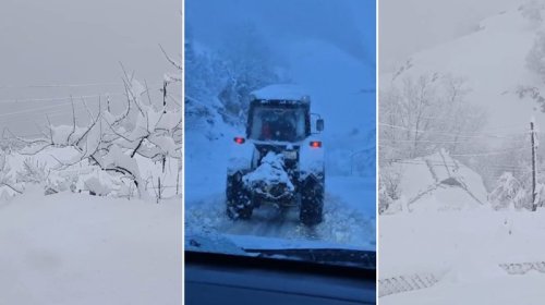 Lerikdə qara görə 80 kənd işıqsız qalıb
