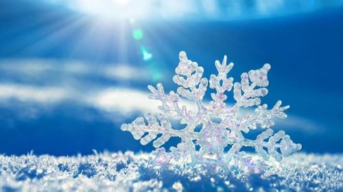 Qar virusu və xəstəliyi öldürür?