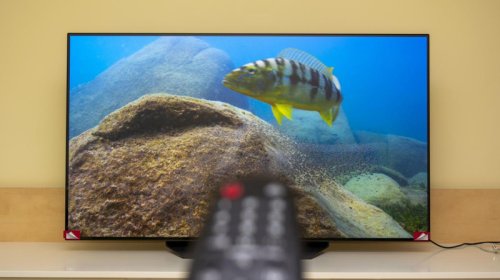 OLED televizorlar nə qədər etibarlıdır?