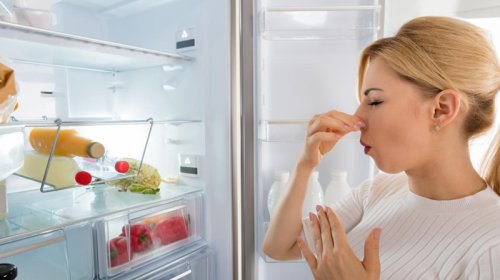 Soyuducudakı pis qoxu öz-özünə yox olacaq: İçinə nə qoymaq lazımdır?