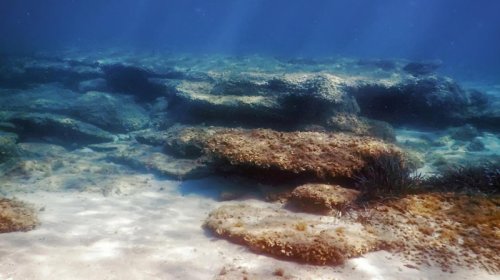 Alimlər 10 il okeanın dibini izlədi: Gördükləri onları son dərəcə narahat etdi