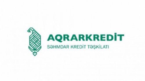 &ldquo;Aqrarkredit&rdquo;ə məxsus &ldquo;Mercedes E 350&rdquo; hərracda neçəyə satılıb?