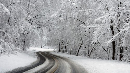Sabahın hava proqnozu