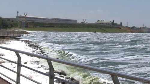 Böyükşor gölündə köpüklənmənin altında dayanan problem - VİDEO