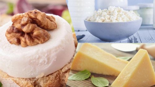 Hansı pendirlər ürək sağlamlığı üçün faydalıdır? - Ən yaxşı 7 növ