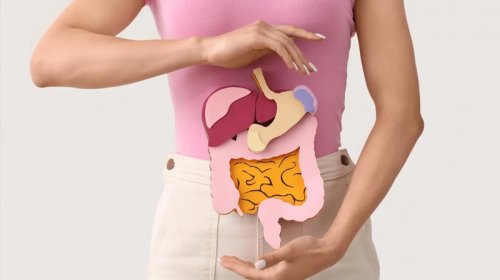 Həzmi yaxşılaşdırmaq üçün nə yemək lazımdır?