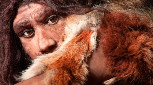 Alimlər neandertalların nəslinin kəsilməsinin yeni səbəbini tapdı