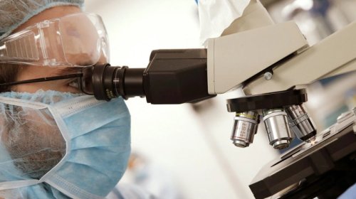 Bu tapıntı Amerikanın insan tarixi barədə anlayışı dəyişdirdi