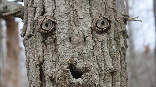 Hər yerdə insan üzü görürsünüz? &ndash; Bunları edin...