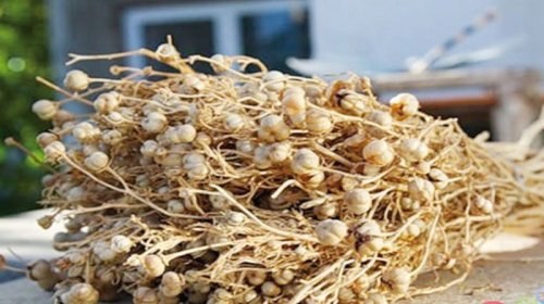 
Nazirlik üzərliklə əhaliyə müraciət etdi