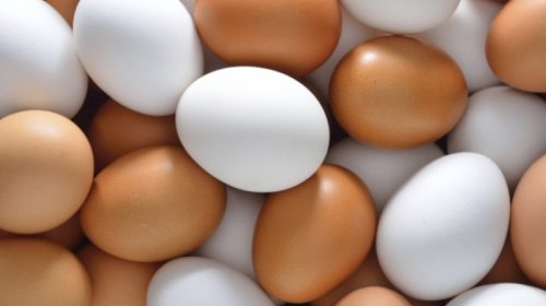Yumurtanın qiyməti bu qədər artacaq - RƏQƏM