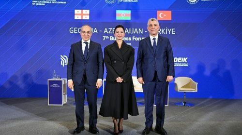 Gürcüstan-Azərbaycan-Türkiyə biznes forumu keçirilib