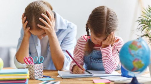 Şagirdlərin dərs yükü azala bilər?