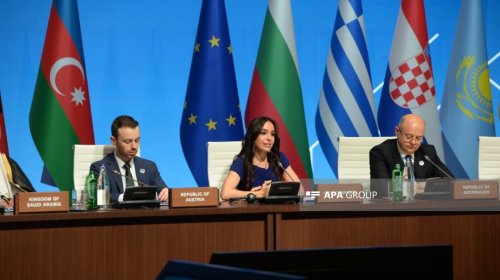 Leyla Əliyeva: "Əgər Xəzər çətin vəziyyətdədirsə, demək ki, dünya ekosistemi təhlükə altındadır"