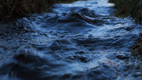 Canlı həyat Yer kürəsinin yeraltı su hövzələrində gizlənə bilər