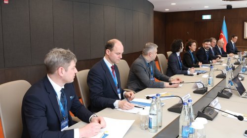 Alman şirkətlərinin nümayəndələri ilə görüş keçirilib