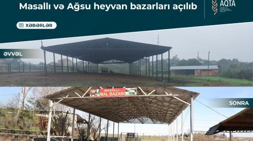 Masallı və Ağsu heyvan bazarları açılıb