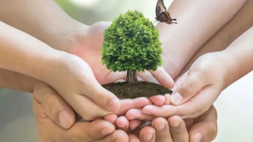 Ekoloq həyəcan təbili çaldı: &ldquo;Hamımızı təhdid edir&rdquo;