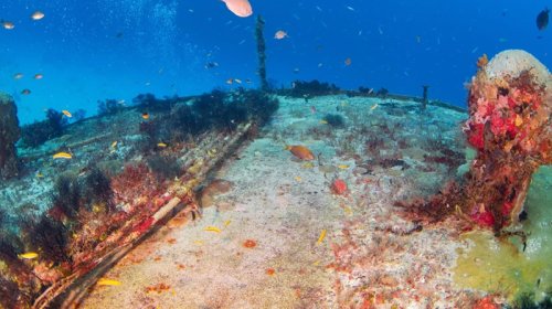 Okeanın dibindəki nəhəng oyandırıldı - İllər sonra səthə çıxarılır
