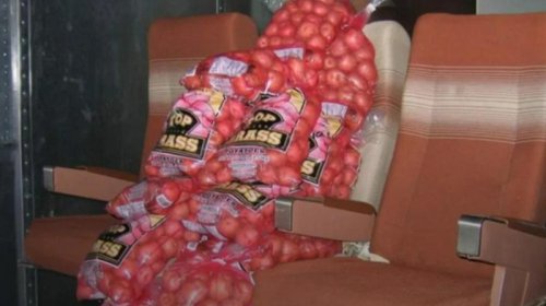 "Boeing"ə sərnişin əvəzinə 9 ton kartof yükləndi: Qəribə eksperiment nə üçün edildi?